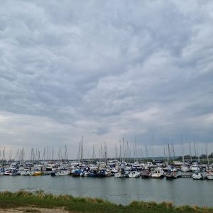 boats